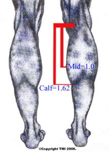 THE CORRECT PLACE FOR CALF IMPLANTS